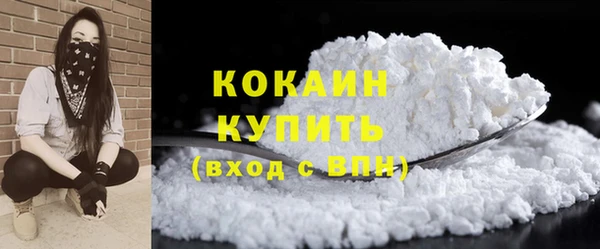 PSILOCYBIN Бикин