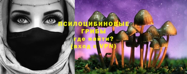 молекула духа Билибино